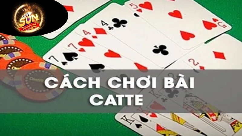 Cách Chơi Bài Catte - Khám Phá Nghệ Thuật Chiến Lược Hấp Dẫn 2 luat-choi-co-ban